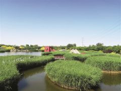 臨港濕地公園：“環(huán)?！薄邦佒怠奔嫒莶⑿?/></a>　　臨港生態(tài)濕地公園　　由天津港保稅區(qū)管委會(huì)作為執(zhí)行機(jī)構(gòu)的亞洲開發(fā)銀行貸款項(xiàng)目天津海河河口地區(qū)污染控制與生態(tài)恢復(fù)項(xiàng)目近期完成貸款賬戶清戶，其中，濕地生態(tài)恢復(fù)子項(xiàng)目建設(shè)了63公頃臨港生態(tài)濕地公園(一期)，具備污水處理、生態(tài)恢復(fù)和景觀...<a href=
